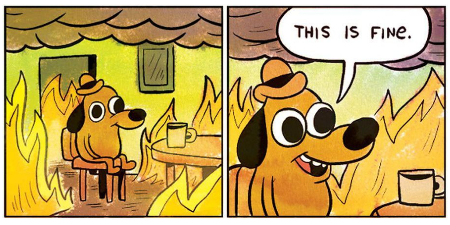 This is Fine Dog Meme