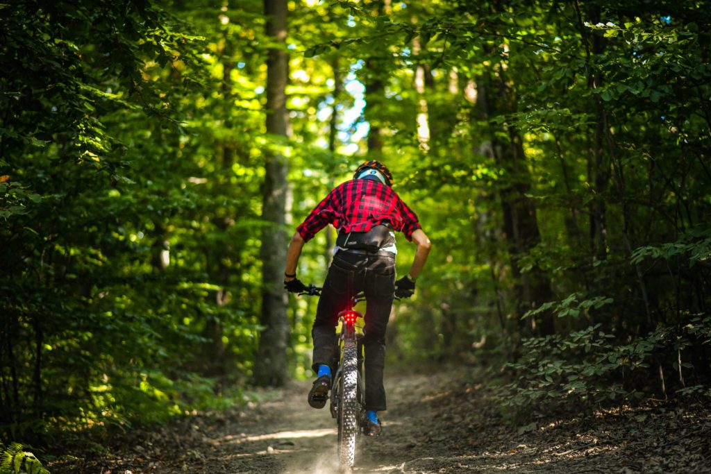 GreypBikes (2) Greyp Bikes Employee Advocacy Case Study