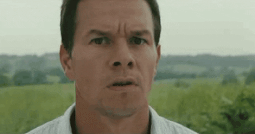 Wahlberg Reaction gif
