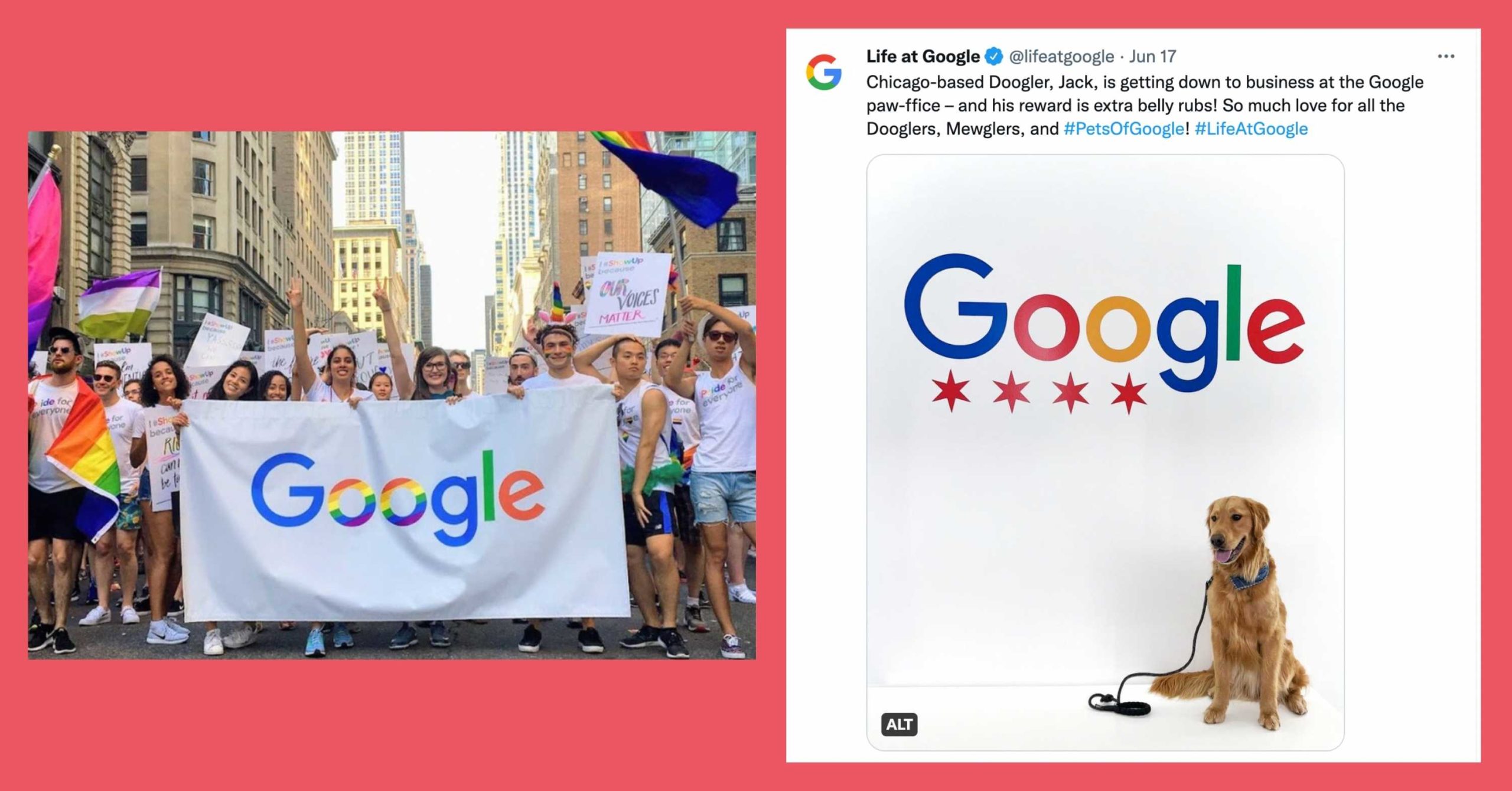 Google Employee Advocacy